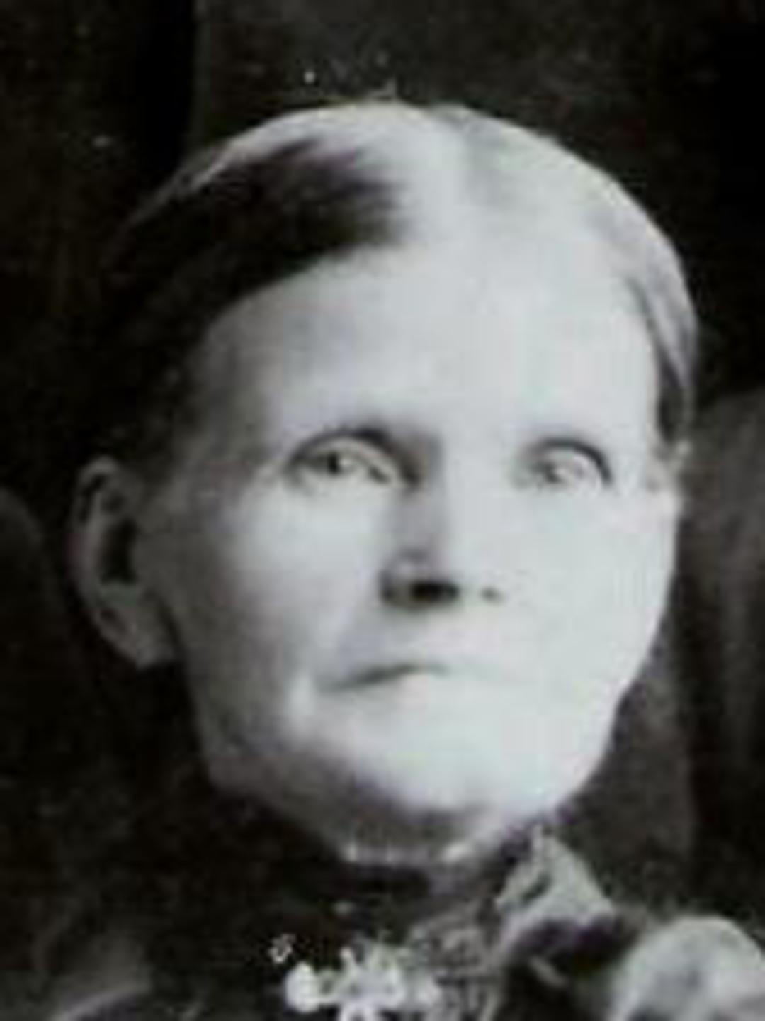Hannah Adams (1839 - 1907) Profile